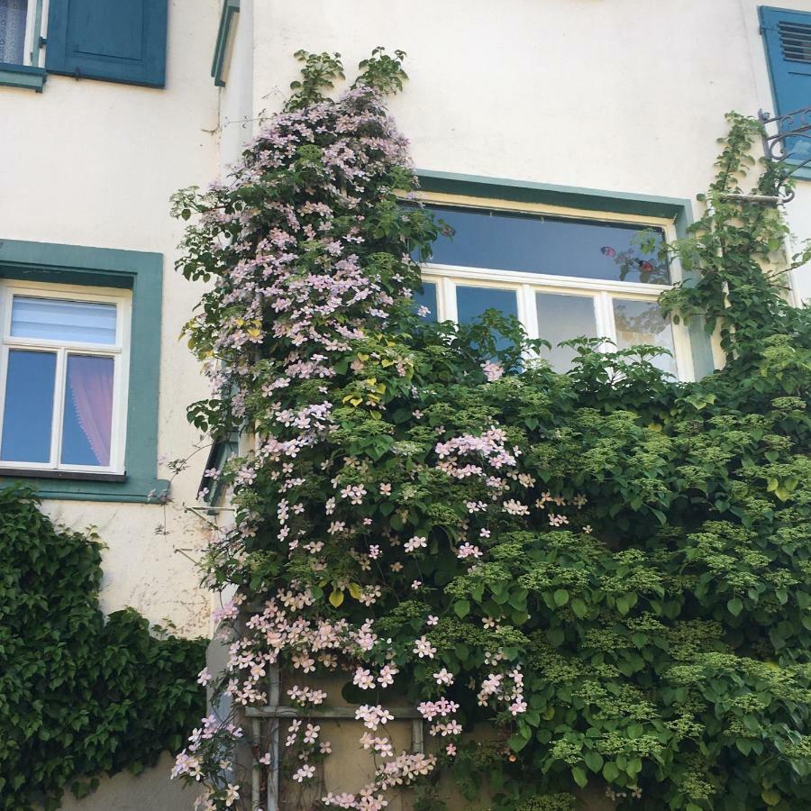 Apartment Maison Milabee Altenkunstadt